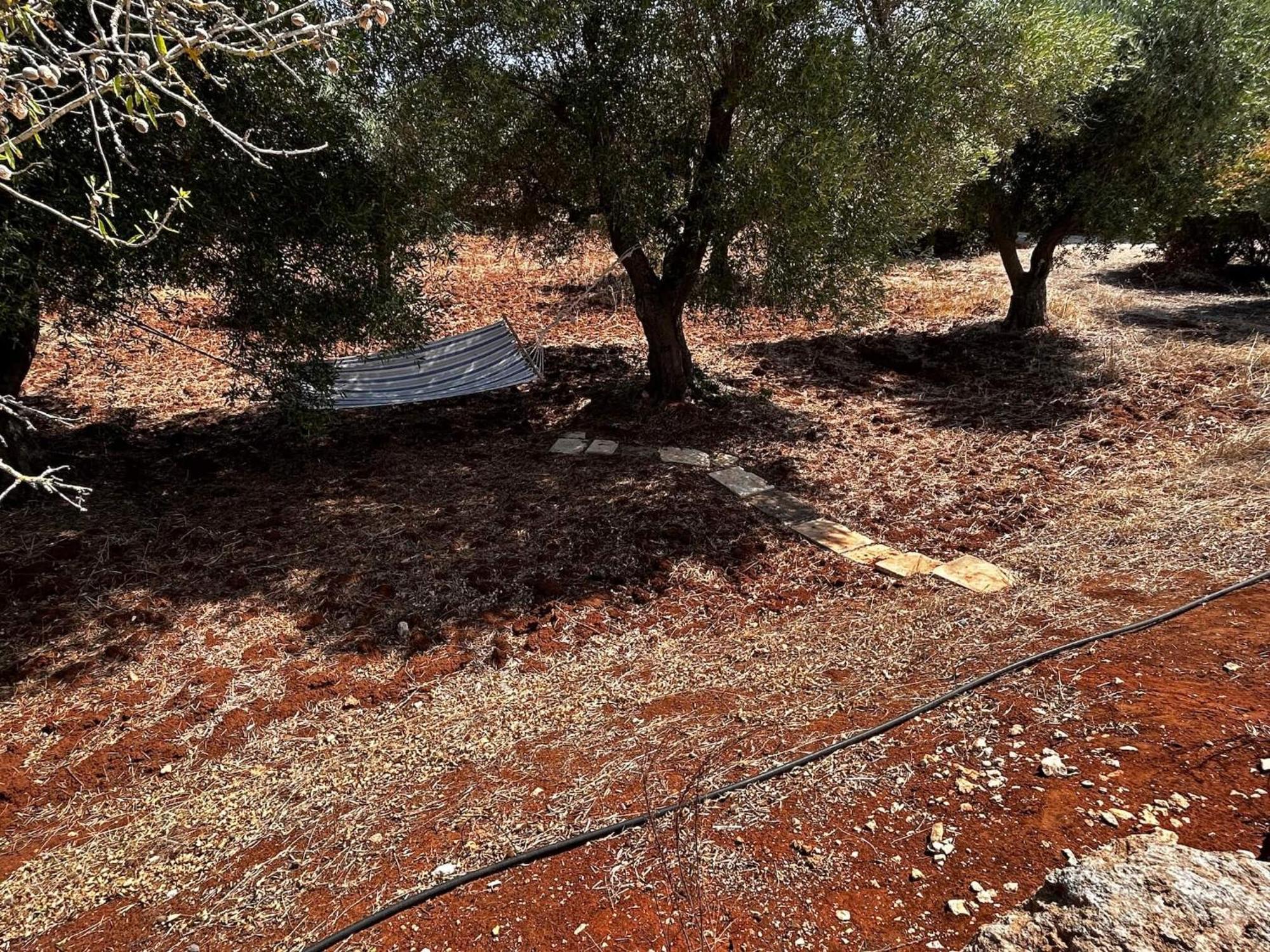 Traditional Trullo With Private Pool Near Ostuni Villa Buitenkant foto